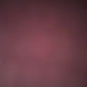 Meet your Posher, Ashanti